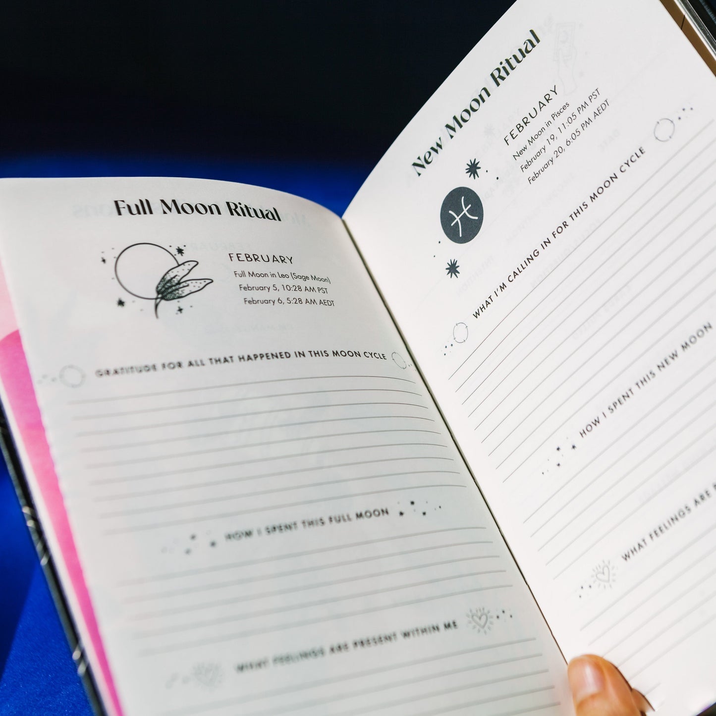 The Healthy Habits Kit