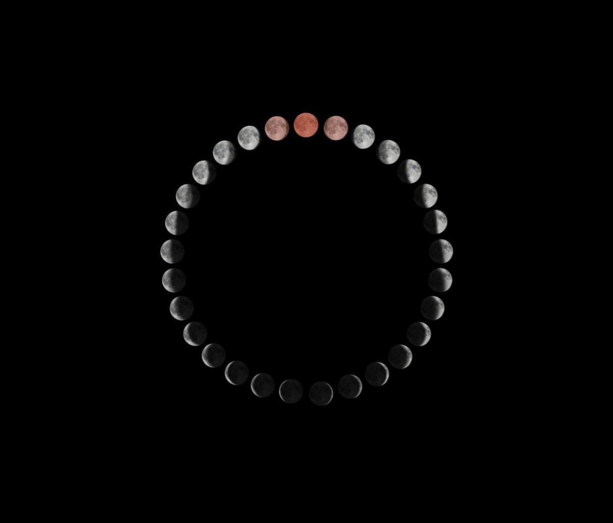 cycle-tracking