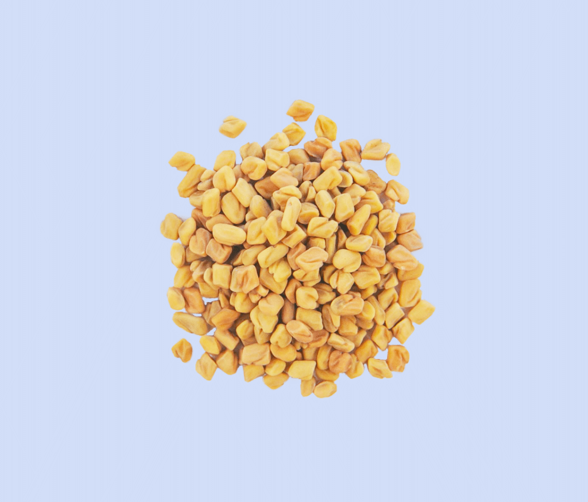 fenugreek seeds for menstrual cramps and dysmenorrhea